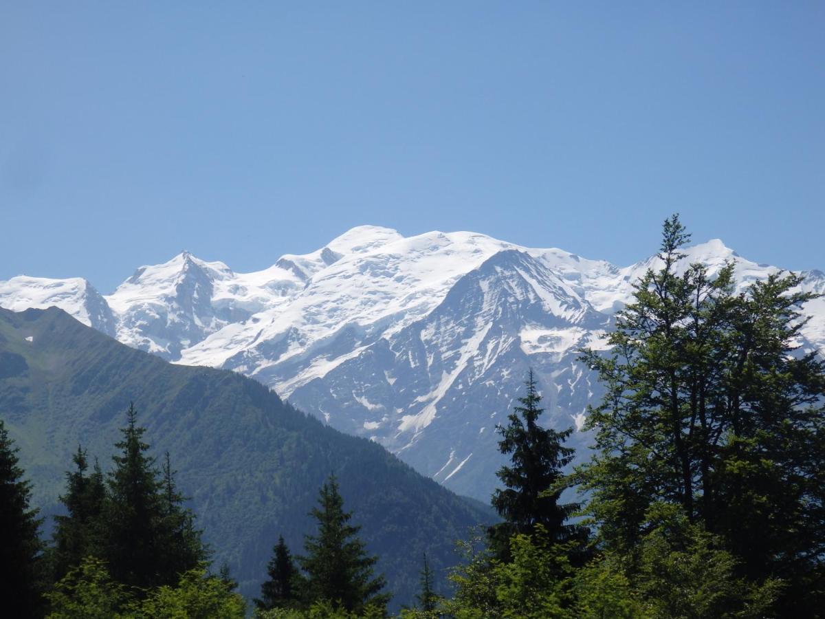 Bed and Breakfast Au Coeur Des Alpes Marignier Esterno foto